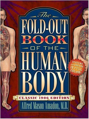 The Fold-Out Book of the Human Body