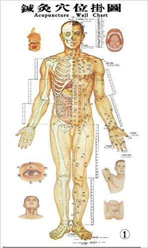 针灸穴位挂图