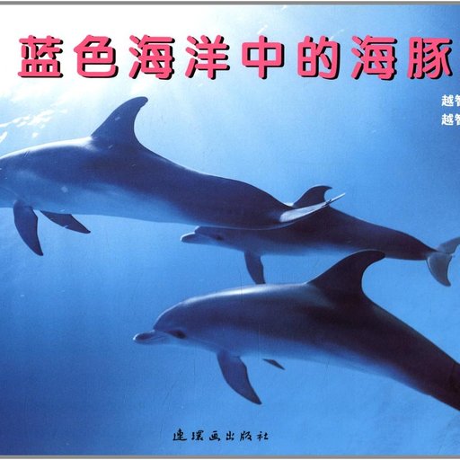 蓝色海洋中的海豚们
