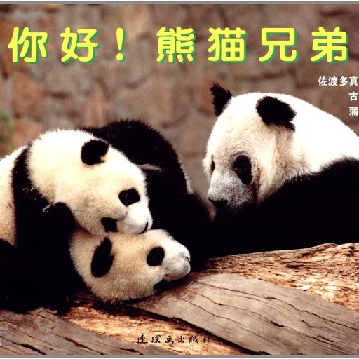 你好！熊猫兄弟