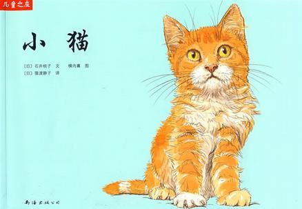 小猫