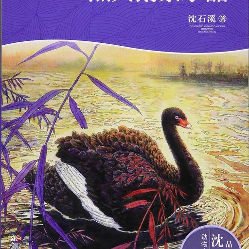 黑天鹅紫水晶(彩色插图本)