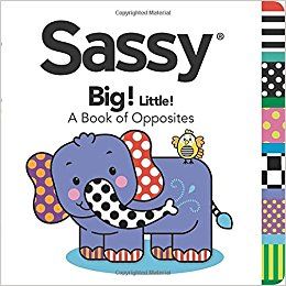 Big! Little!: A Book of Opposites