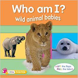 Wild Animal Babies