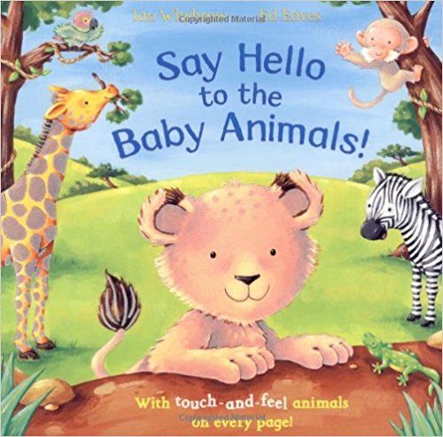 Say Hello To The Baby Animals!