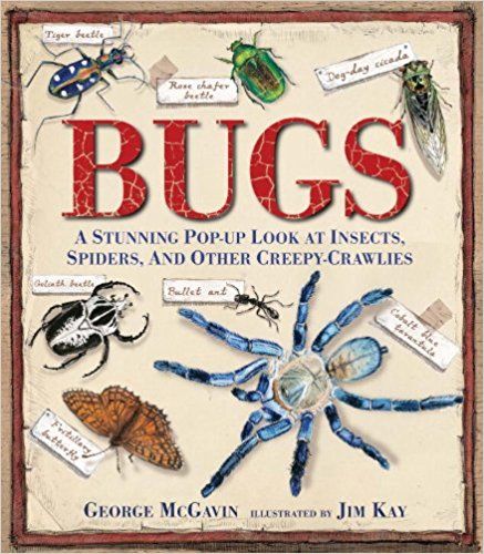 Spiders, Bugs, And Other Insects