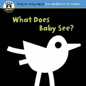 What Does Baby See?