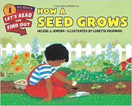 Seeds Grow