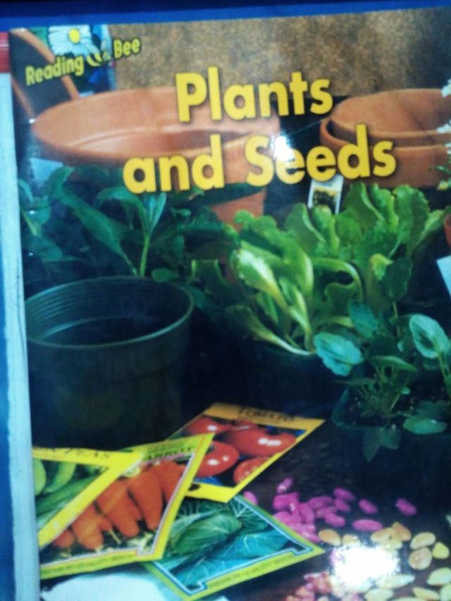 Plants and Seeds