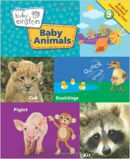 Baby Animals