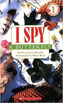 I Spy A Butterfly