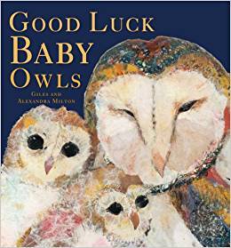 Good Luck Baby Owls