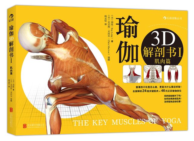 瑜伽3D解剖书1 肌肉篇