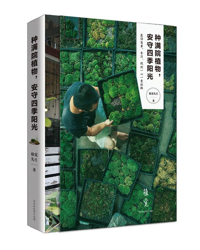 种满院植物，安守四季阳光