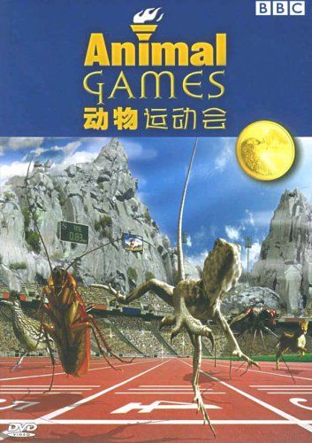 动物运动会(DVD)