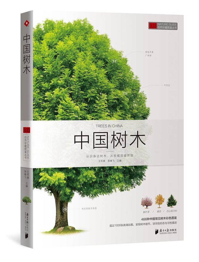 中国树木