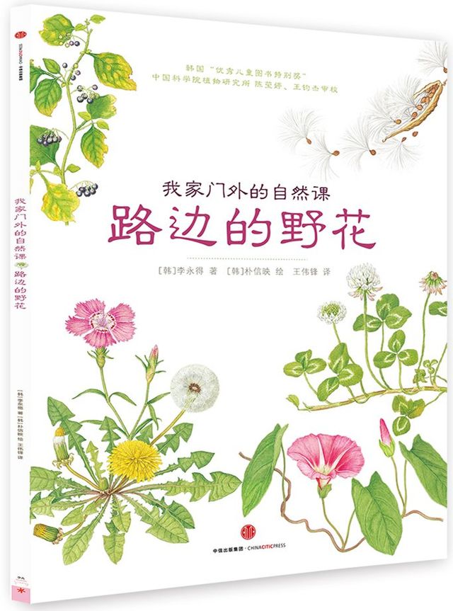 路边的野花