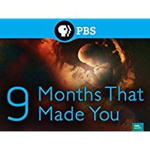 9 Months That Made You