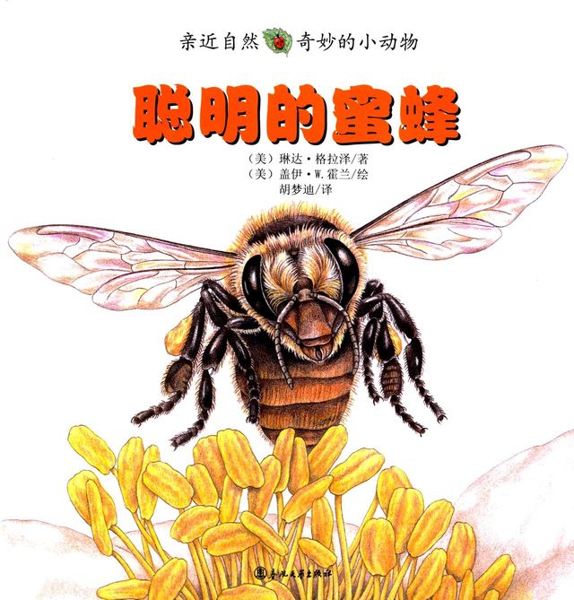 聪明的蜜蜂