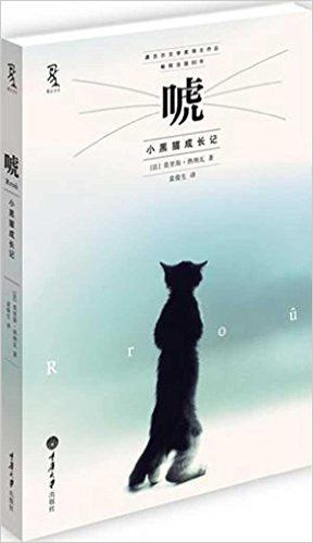 唬:小黑猫成长记