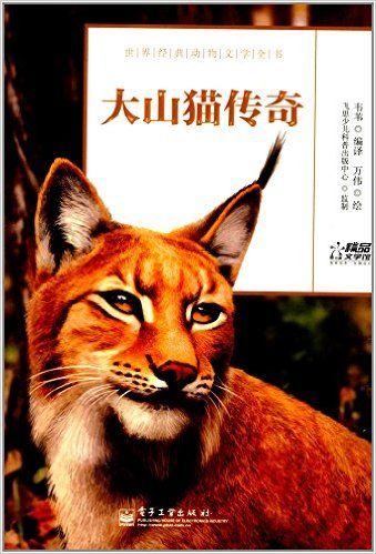 大山猫传奇