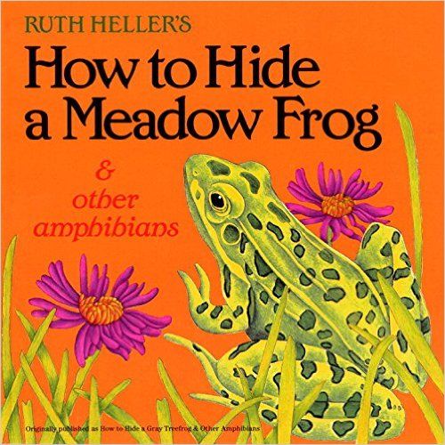 How to Hide a Meadow Frog