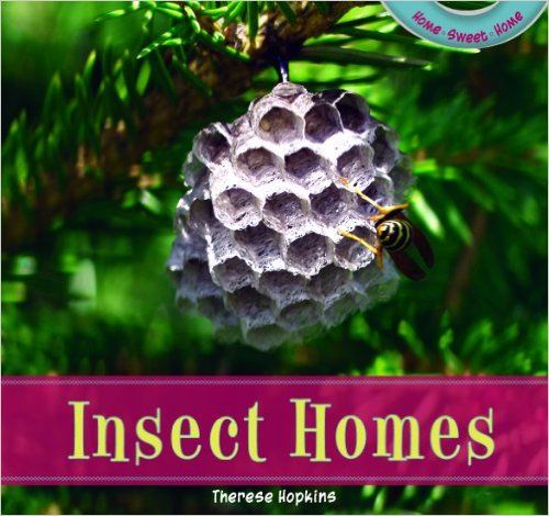 Insect Homes