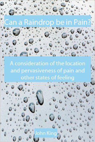 Can a Raindrop be in Pain?: A Consideration of the Location & Pervasiveness of Pain and Other States