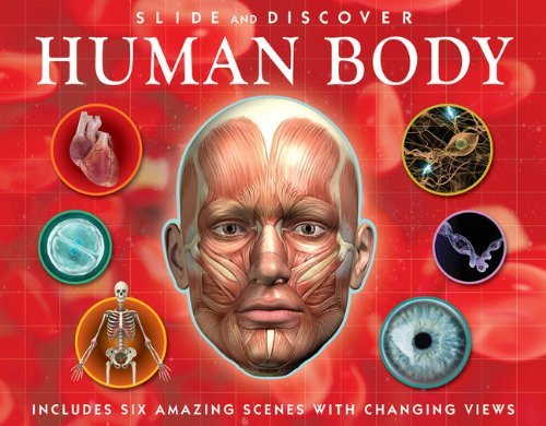 Slide and Discover: Human Body