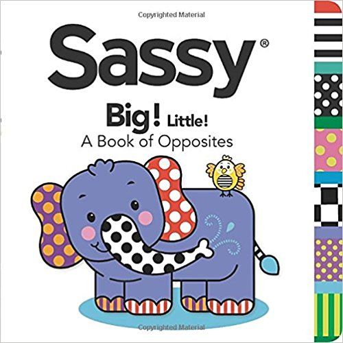 Big! Little!: A Book of Opposites (Sassy)
