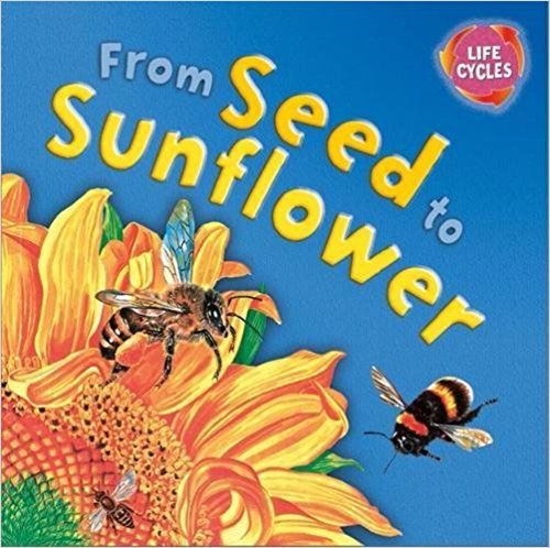 From Seed to Sunflower