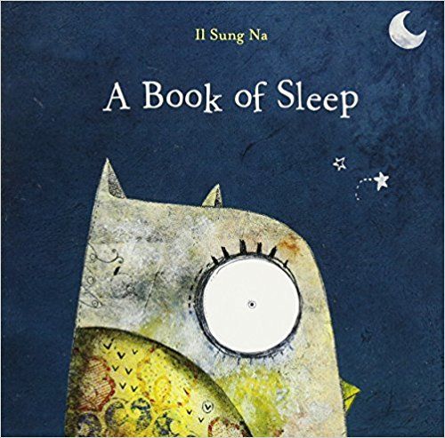 A Book Of Sleep
