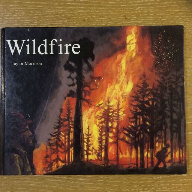 Wildfire