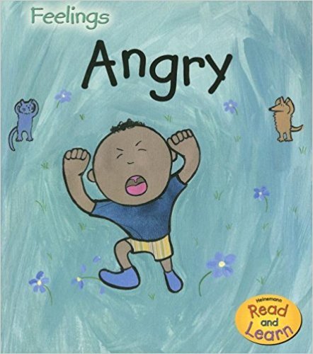 Angry (Feelings) - CD included