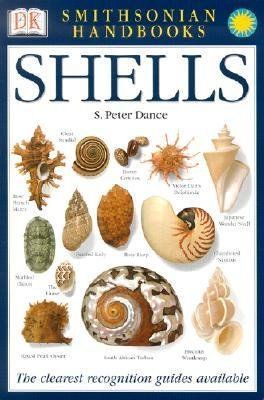 Shells: The Photographic Recognition Guide to Seashells of the World