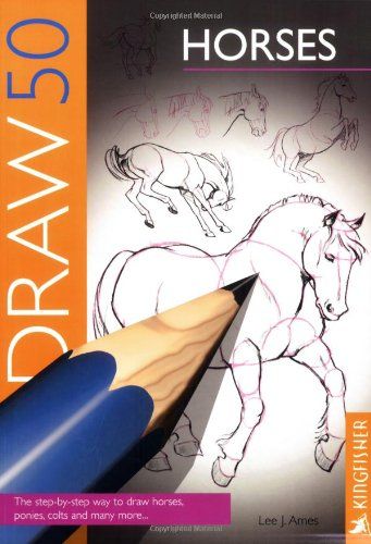 Draw 50: Horses