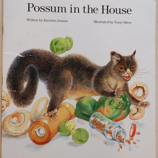 Possum in the House