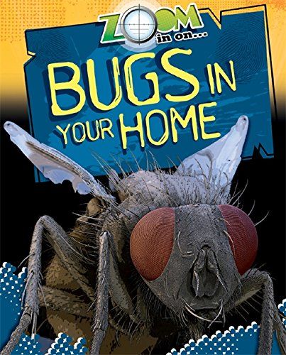 Bugs in Your Home