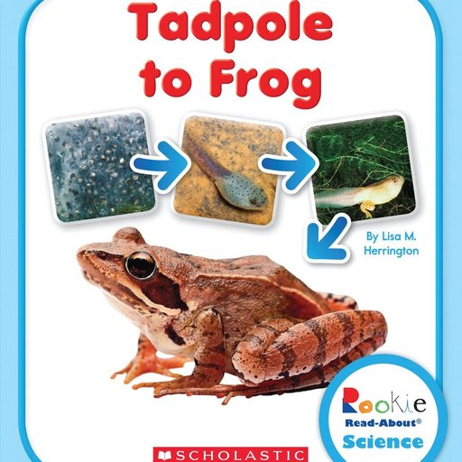 Tadpole to Frog