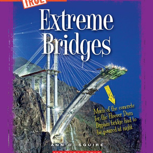 Extreme Bridges