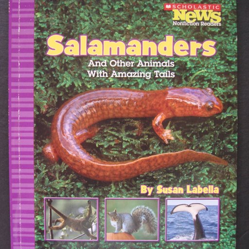 Salamanders and Other Animals With Amazing Tails