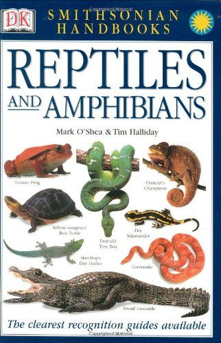 Reptiles and Amphibians