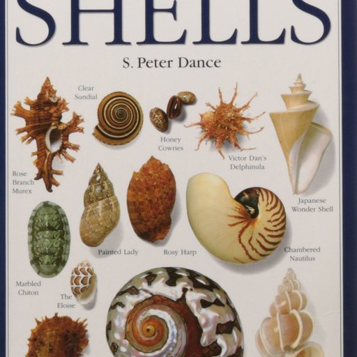 Shells