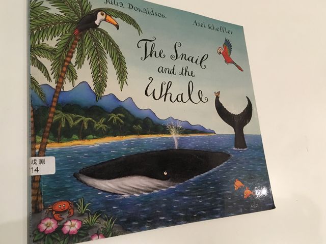 The Snail and The Whale