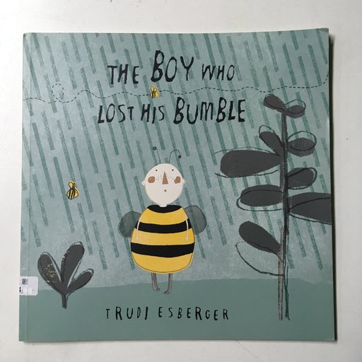 The Boy Who Lost His Bumble