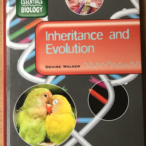 Inheritance and Evolution