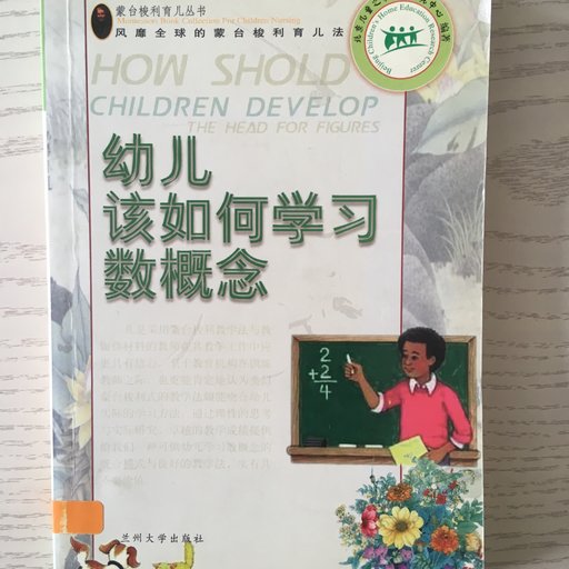 幼儿该如何学习数概念