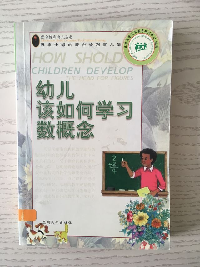 幼儿该如何学习数概念