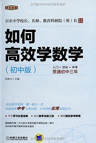 点石成金:如何高效学数学(初中版)