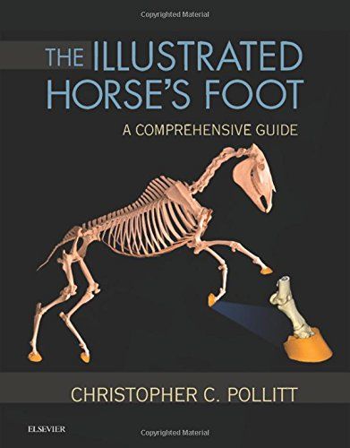 The Illustrated Horse's Foot: A comprehensive guide